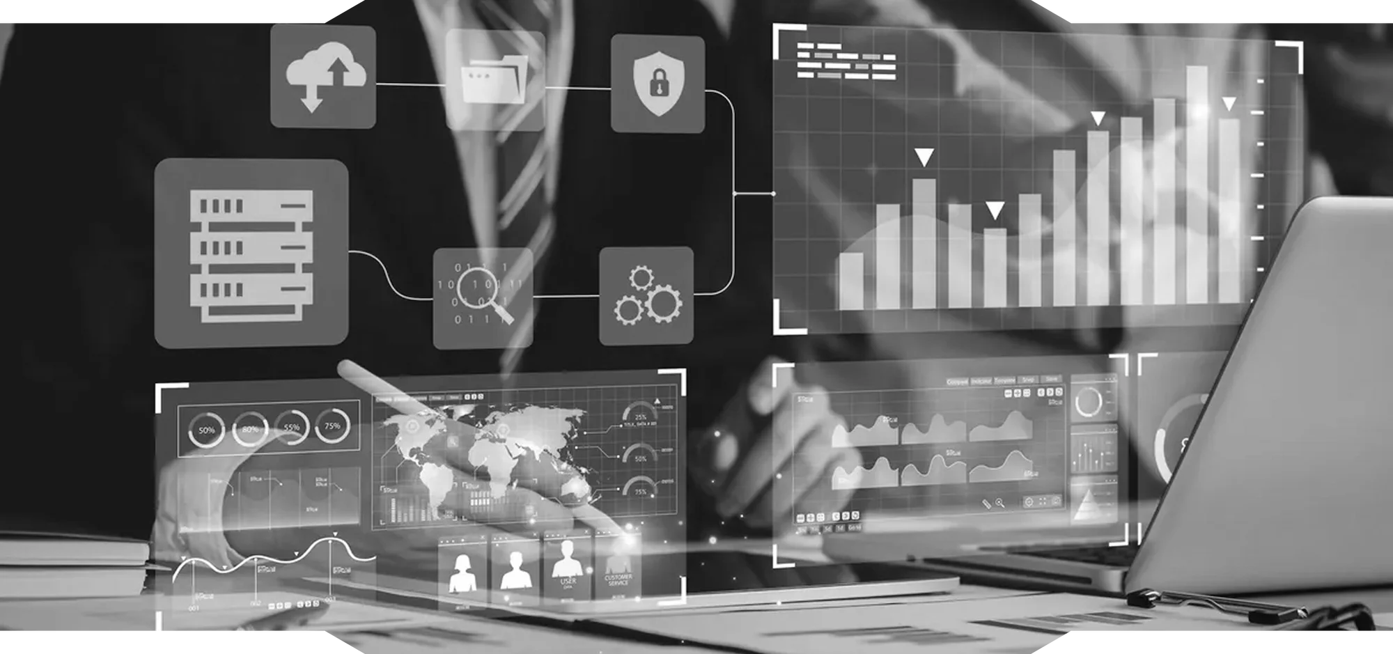 It-решения для государственных и частных организаций